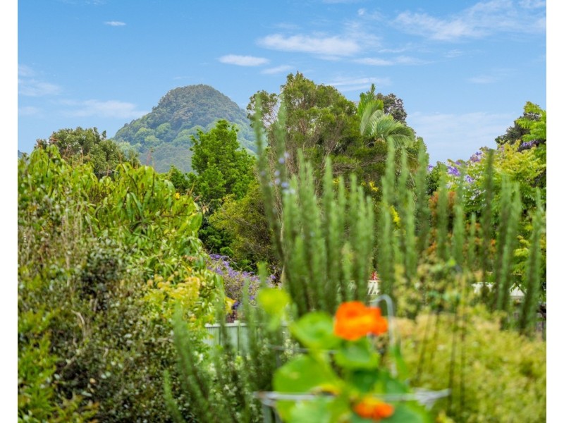 6 Hibiscus Place, Mullumbimby NSW 2482