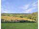 1 Waterhouse Drive, Coopers Shoot NSW 2479