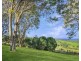 1 Waterhouse Drive, Coopers Shoot NSW 2479