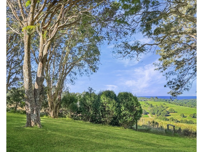 1 Waterhouse Drive, Coopers Shoot NSW 2479