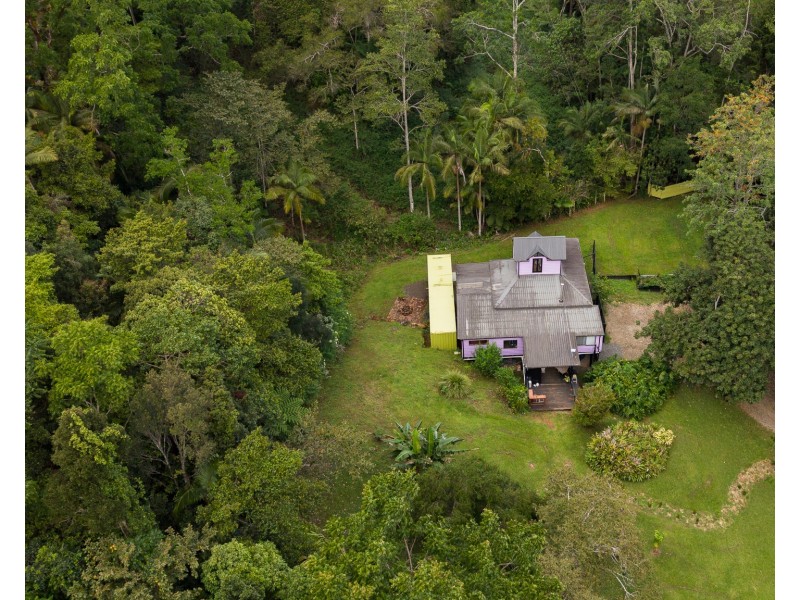 1020 Wilsons Creek Road, Wilsons Creek NSW 2482
