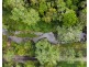 1020 Wilsons Creek Road, Wilsons Creek NSW 2482
