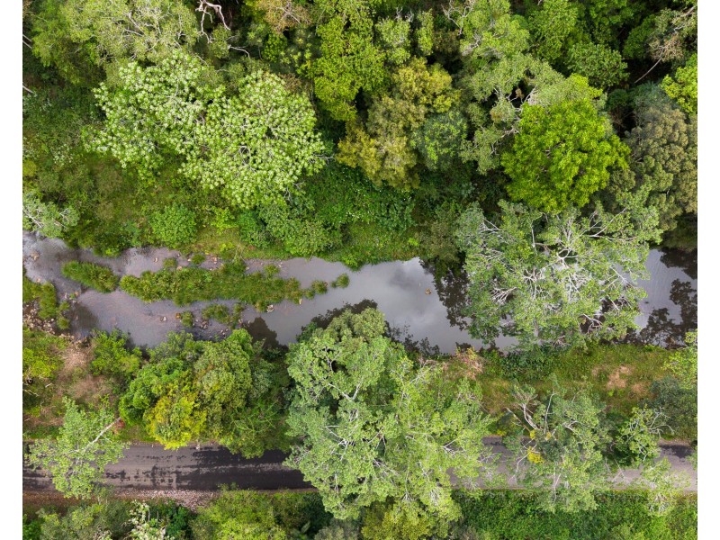 1020 Wilsons Creek Road, Wilsons Creek NSW 2482