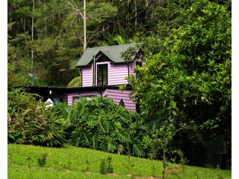 1020 Wilsons Creek Road, Wilsons Creek NSW 2482