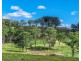 160 Reardons Lane, Swan Bay NSW 2471
