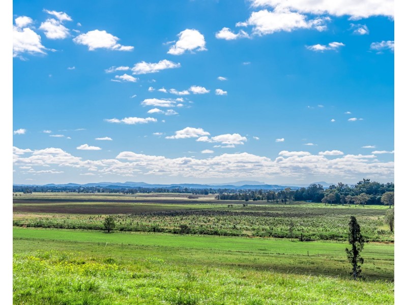 160 Reardons Lane, Swan Bay NSW 2471