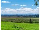 160 Reardons Lane, Swan Bay NSW 2471