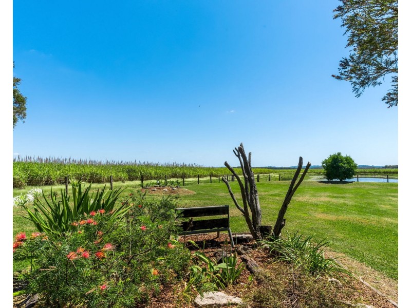 354 Broadwater Road, Dungarubba NSW 2480