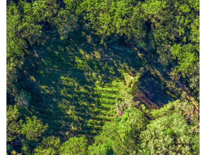 610 The Gap Road, The Gap NSW 2472