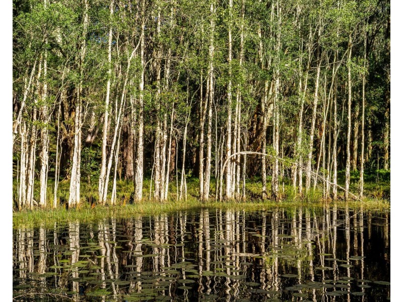610 The Gap Road, The Gap NSW 2472