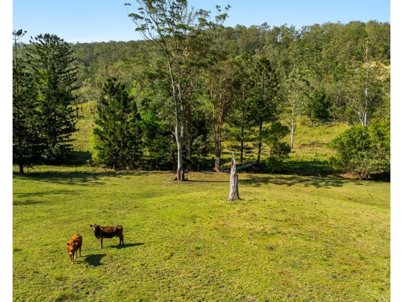 300 Quilty Road, Rock Valley NSW 2480