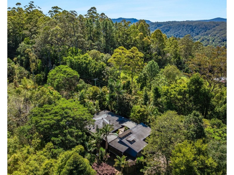89 Rose Road, Tuntable Creek NSW 2480