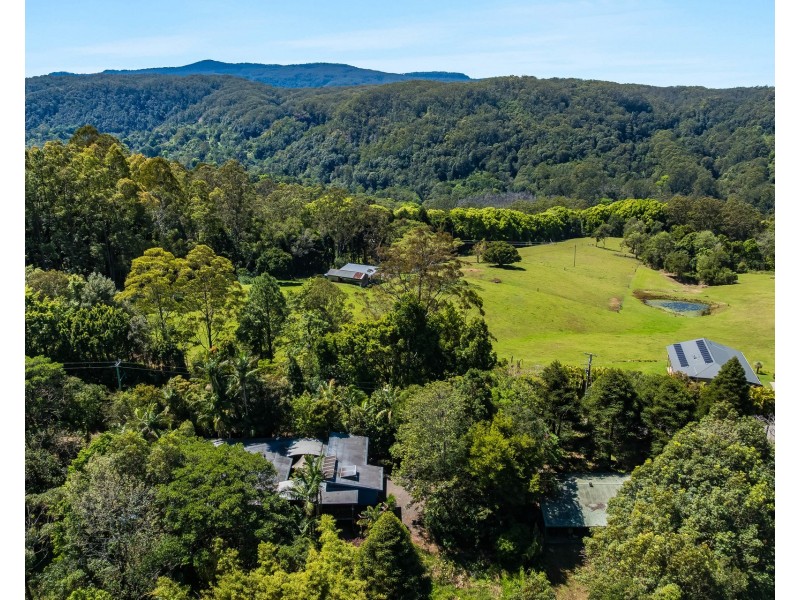 89 Rose Road, Tuntable Creek NSW 2480