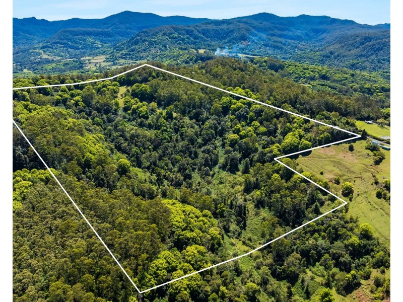 89 Rose Road, Tuntable Creek NSW 2480