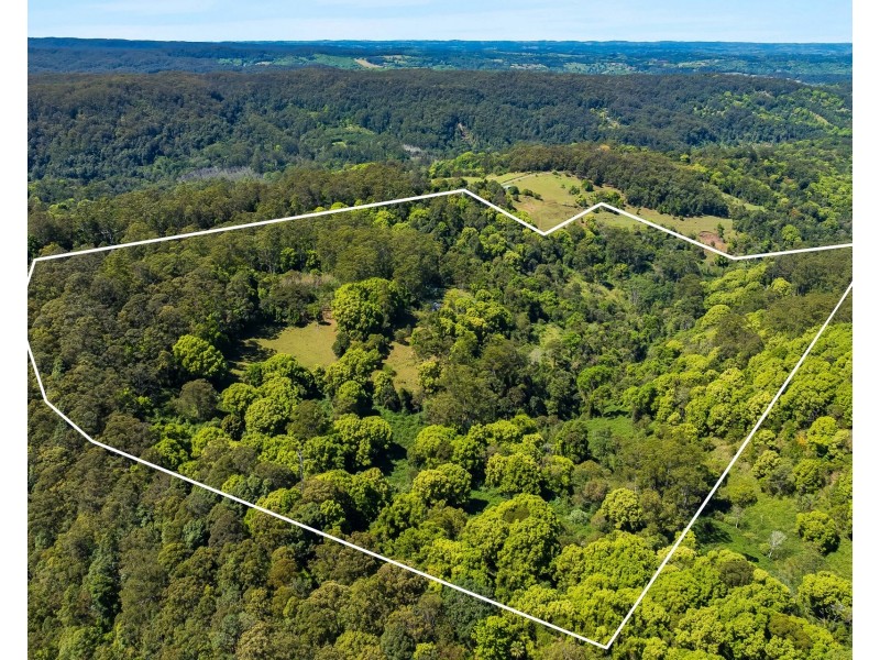 89 Rose Road, Tuntable Creek NSW 2480