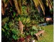 9 Noble Road, Blue Knob NSW 2480