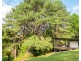 9 Noble Road, Blue Knob NSW 2480