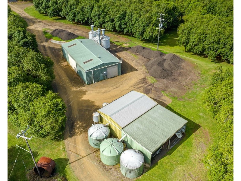 206 Repentance Creek Road, Rosebank NSW 2480