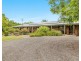 206 Repentance Creek Road, Rosebank NSW 2480