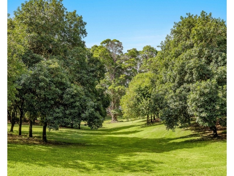 206 Repentance Creek Road, Rosebank NSW 2480