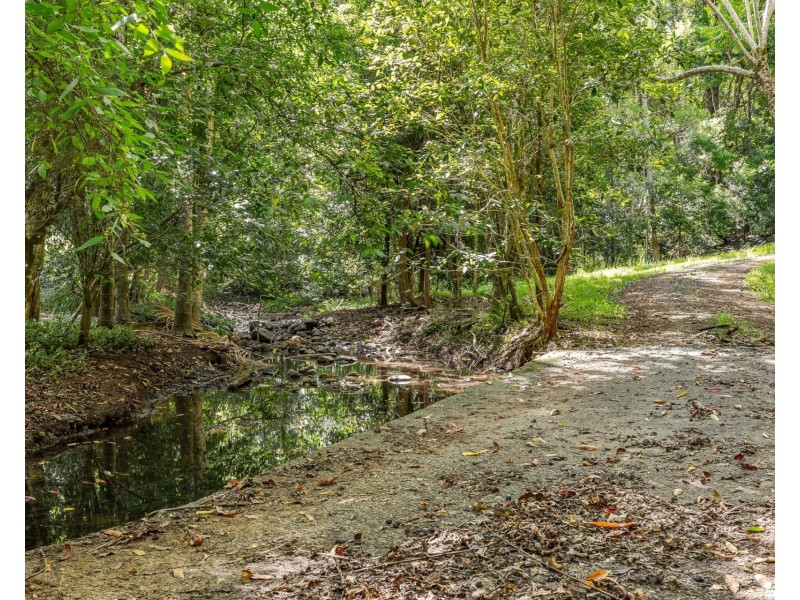 206 Repentance Creek Road, Rosebank NSW 2480