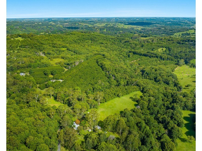 206 Repentance Creek Road, Rosebank NSW 2480