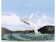 102-108 Clifford Parade, Tuross Head NSW 2537