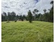 613 Cuttburra Road, Nerrigundah NSW 2545