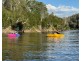 613 Cuttburra Road, Nerrigundah NSW 2545