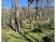 613 Cuttburra Road, Nerrigundah NSW 2545