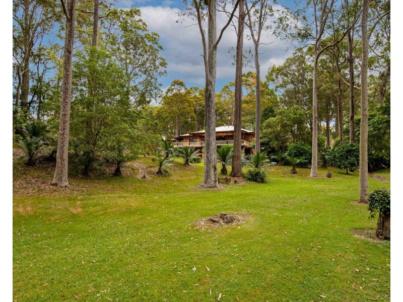 28 Burri Palm Way, Surfside NSW 2536