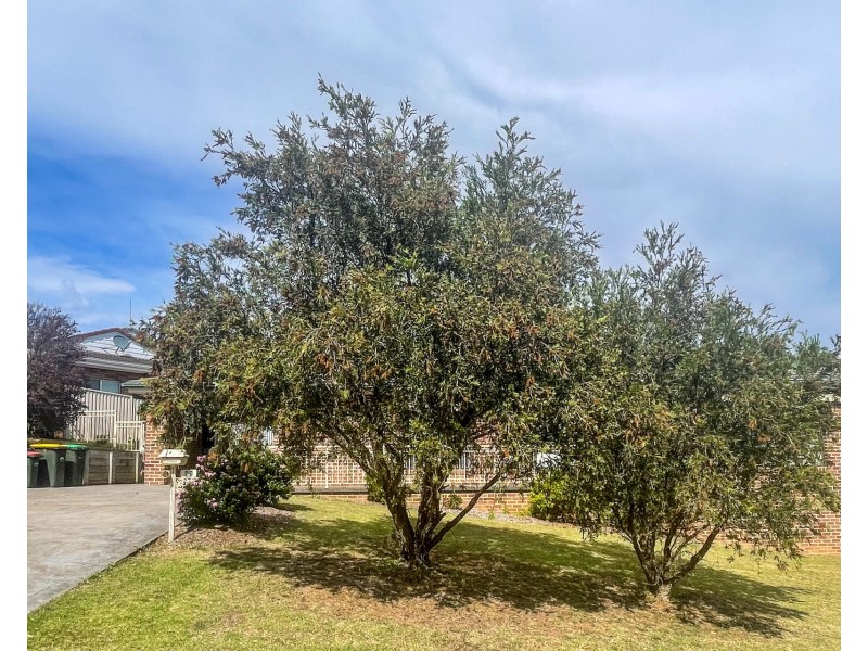 20 Wills Crescent, Denhams Beach NSW 2536