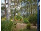 71 Northcove Road, Long Beach NSW 2536