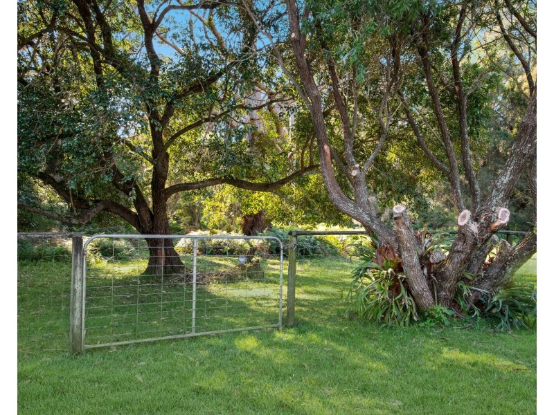 90 Banyandah Street, South Durras NSW 2536