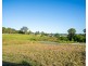 19 Myrtle Forest Drive, Milton NSW 2538