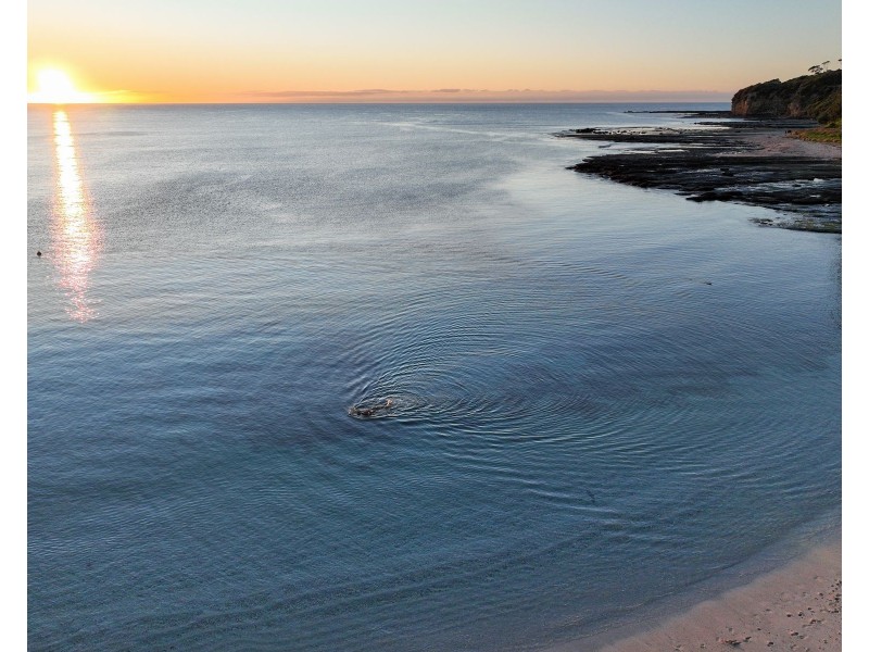 15 Shipton Crescent, Mollymook NSW 2539