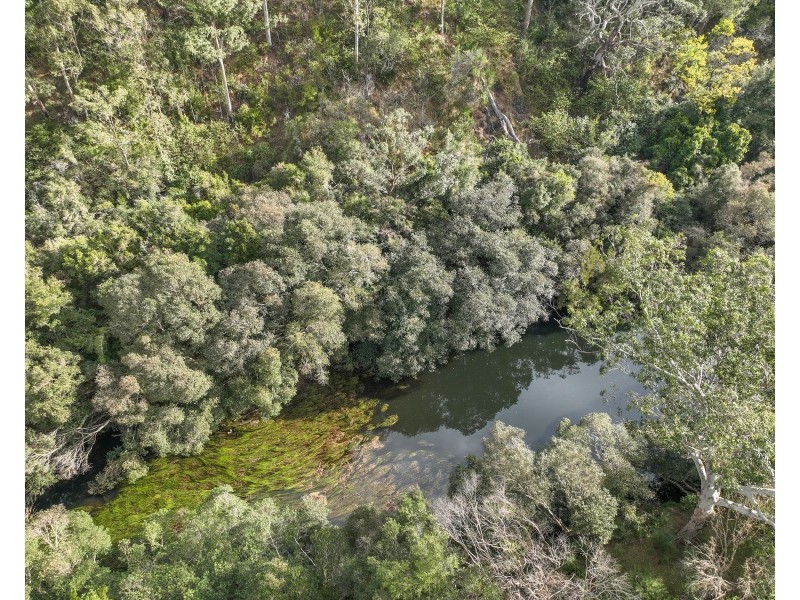 56 Carisbrook Road, Morton NSW 2538