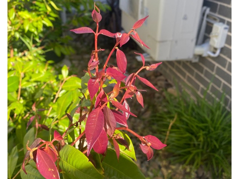 2/7 Kingsley Avenue, Ulladulla NSW 2539