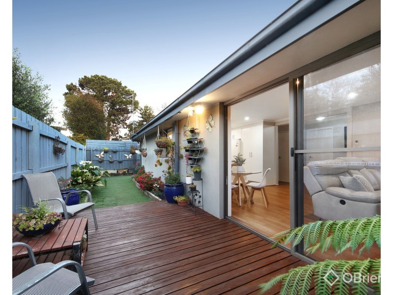 4/17 Barilla Road, Moorabbin VIC 3189