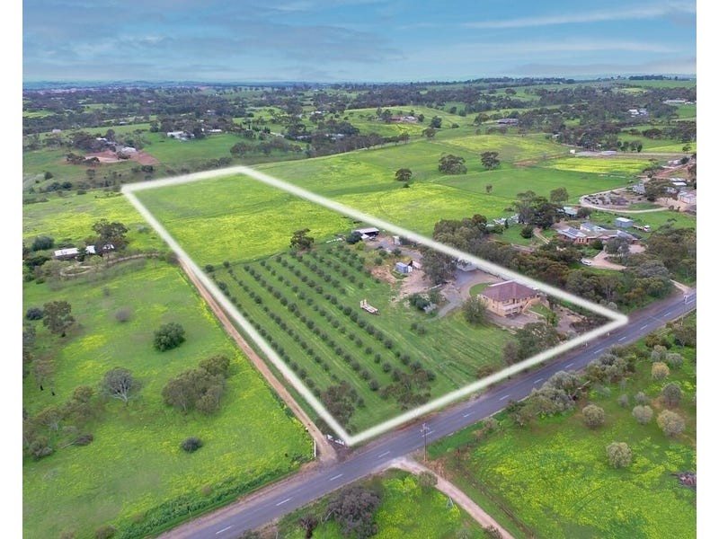 93 Alexander Avenue, Evanston Park SA 5116