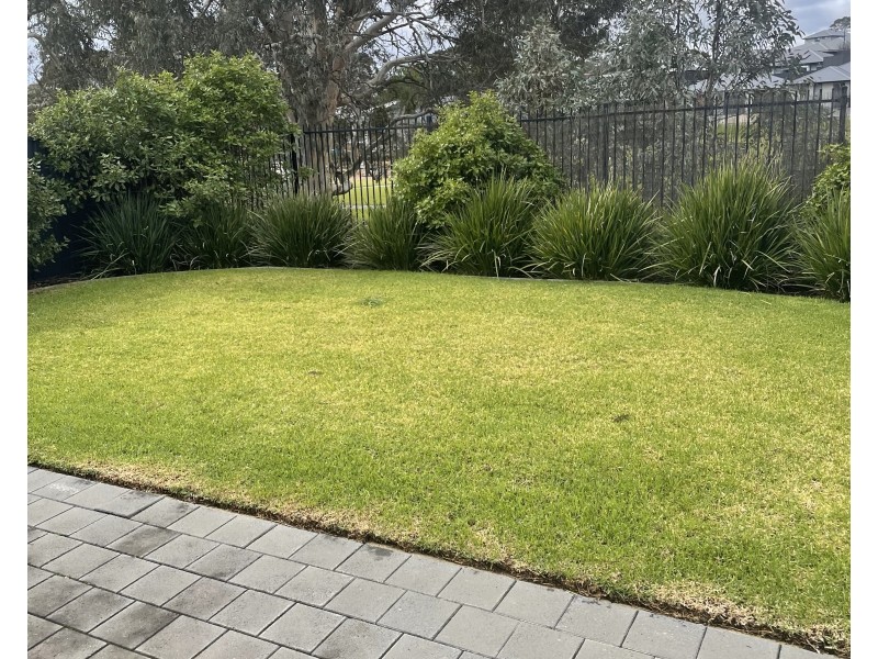 31 Clover Court, Mount Barker SA 5251