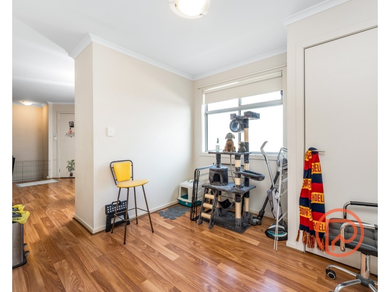 13 Caspian Lane, Andrews Farm SA 5114