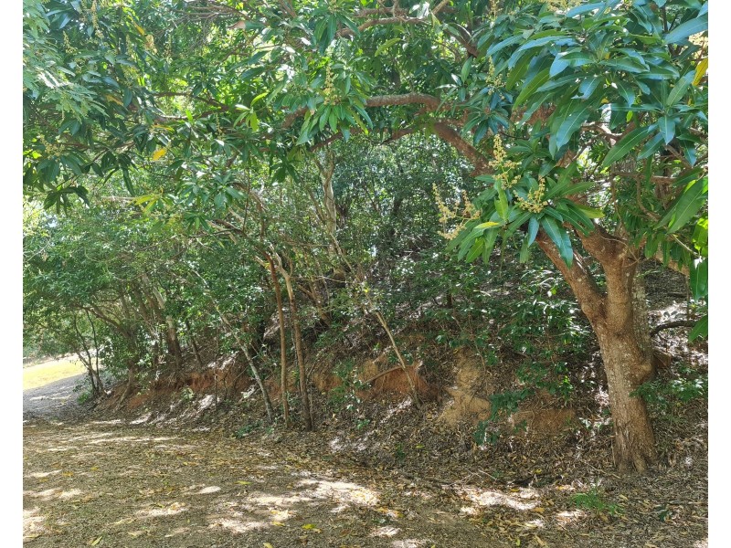 18 Flinders Street, Cooktown QLD 4895