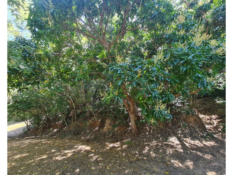 18 Flinders Street, Cooktown QLD 4895