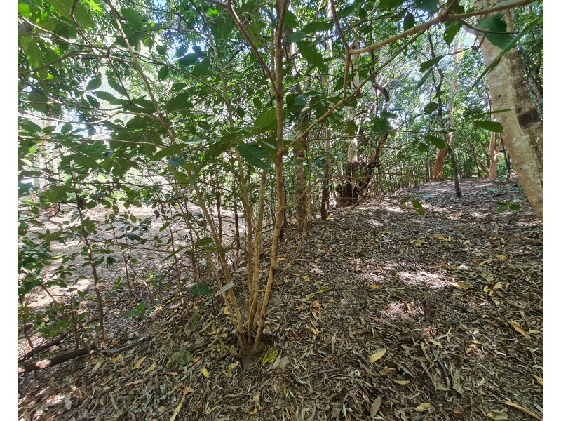 18 Flinders Street, Cooktown QLD 4895