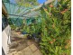 91 Hope Street, Cooktown QLD 4895