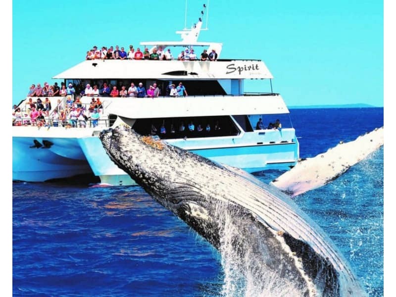 22 Coolamon Court, Urraween QLD 4655