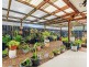 8   Mawson Court, Urraween QLD 4655