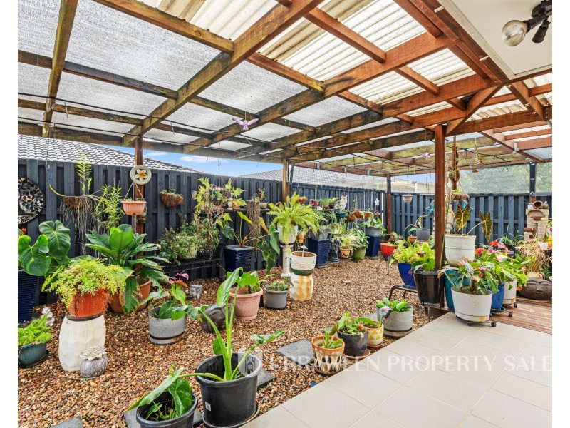8   Mawson Court, Urraween QLD 4655