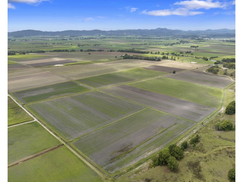 193 Dulguigan Road, Dulguigan NSW 2484